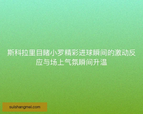斯科拉里目睹小罗精彩进球瞬间的激动反应与场上气氛瞬间升温 斯科拉里目睹小罗精彩进球瞬间的激动反应与场上气氛瞬间升温