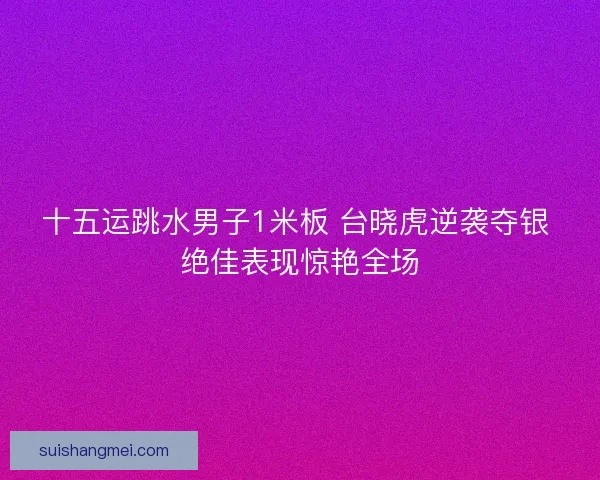 十五运跳水男子1米板 台晓虎逆袭夺银 绝佳表现惊艳全场 十五运跳水男子1米板 台晓虎逆袭夺银 绝佳表现惊艳全场
